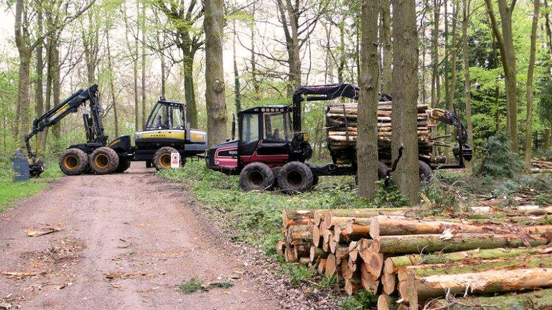 Gaddesden Estate | Forestry | Hemel Hempstead