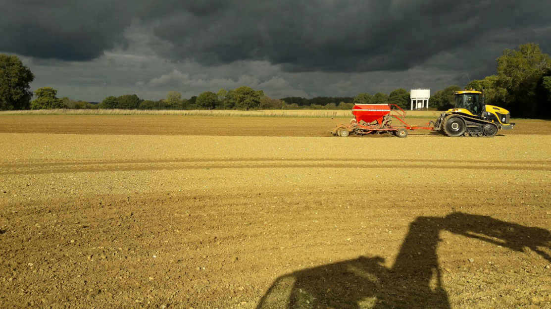 Gaddesden Estate | Farming | Hemel Hempstead