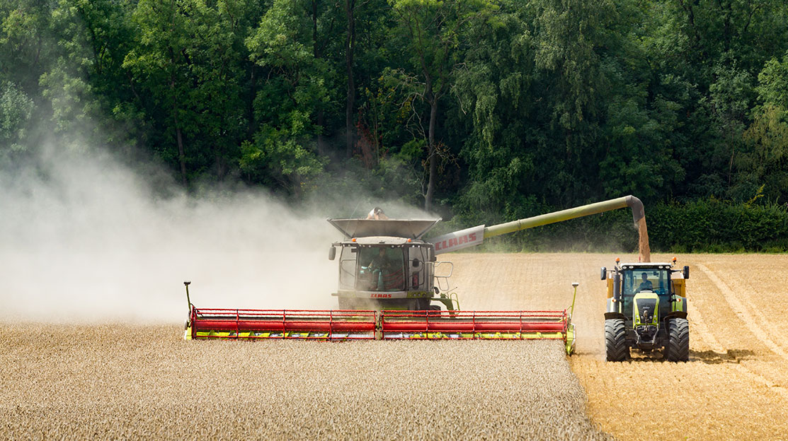 Gaddesden Estate | Farming | Hemel Hempstead