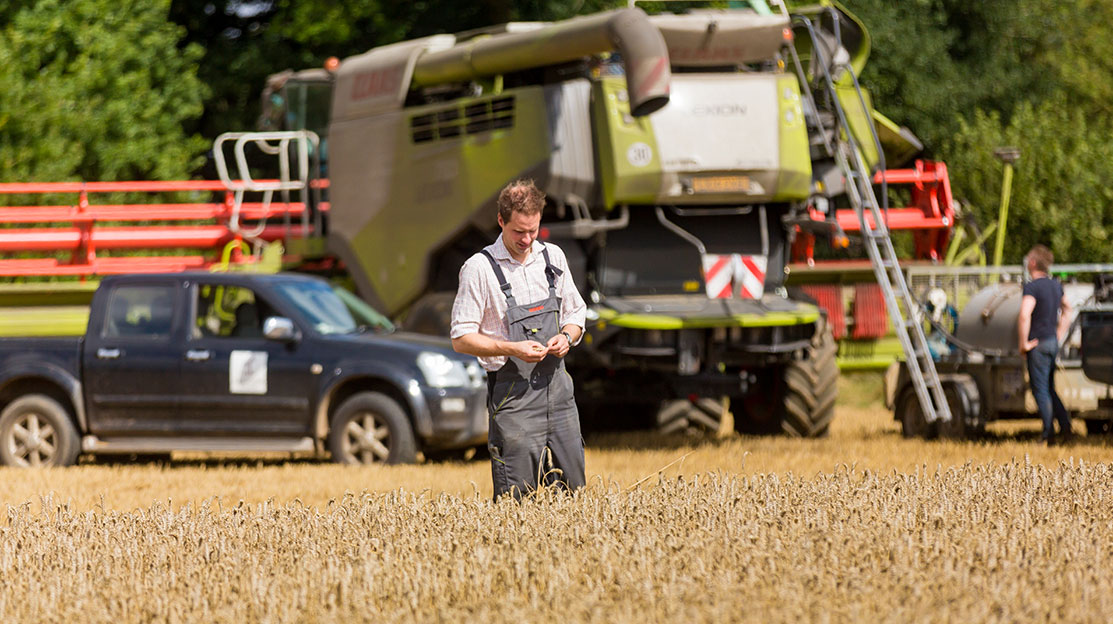 Gaddesden Estate | Farming | Hemel Hempstead